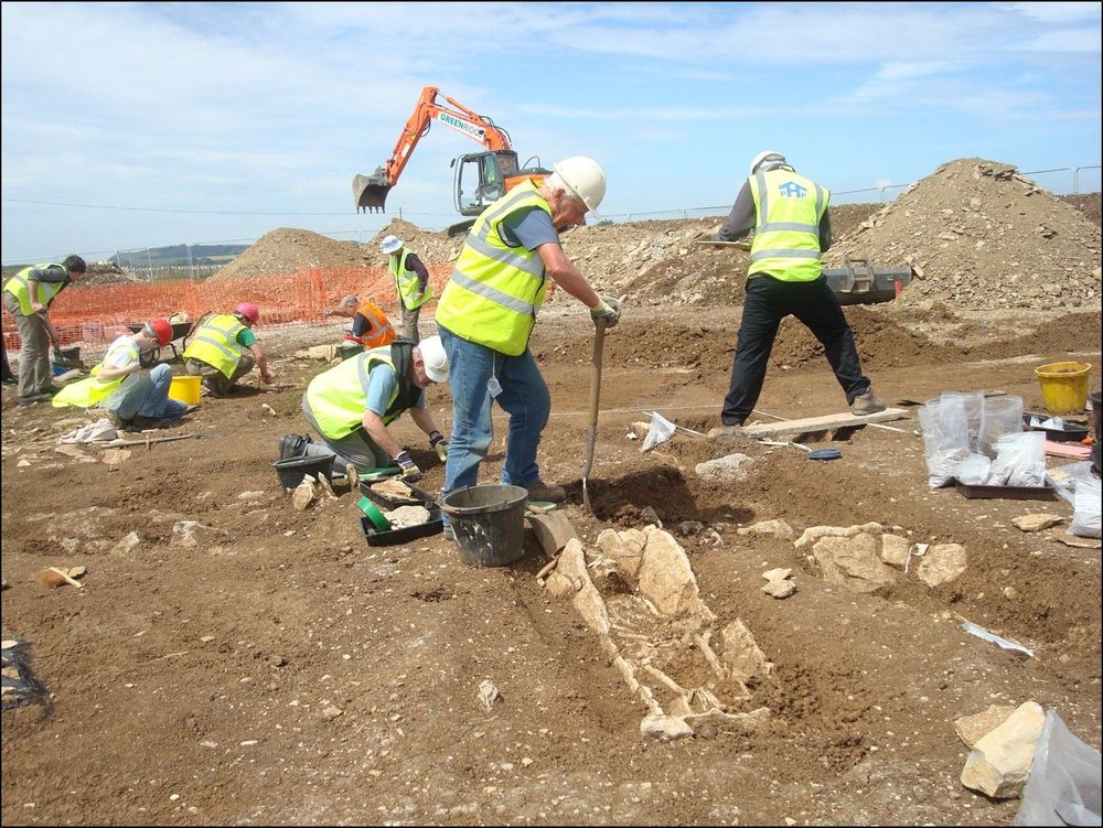 Several archaeologists wearing high-vis vests excavating graves. In the background an excavator stands amongst piles of earth. Excavation at the post-Roman cemetery at Worth Matravers cemetery (credit: Lilian Ladle).