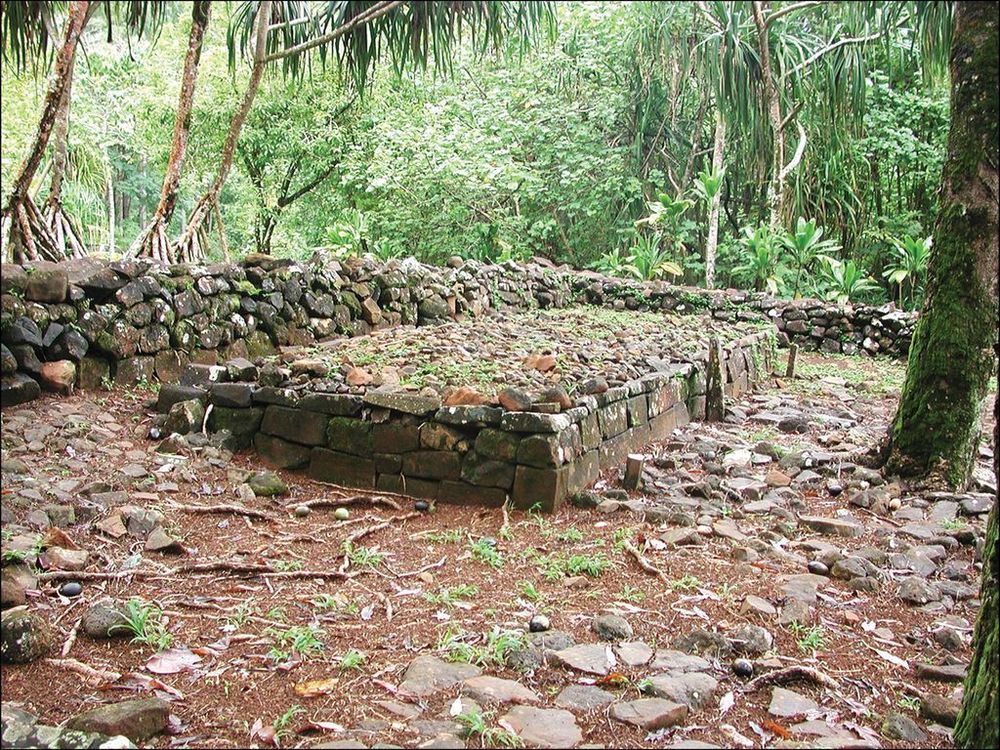 Forest clearing surrounded by a drystone wall. A rectangular drystone platform stands in the middle.