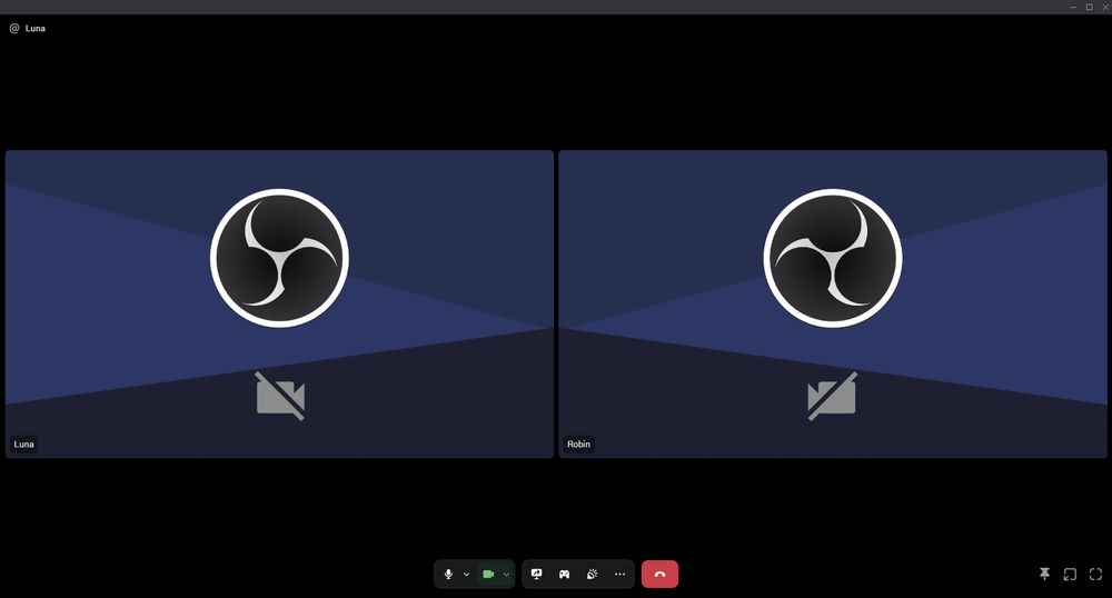 Discord call between Robin and Luna, but both of them have the OBS "No video feed" screen being captured.