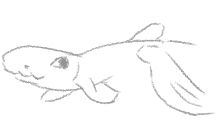 A simple drawing of a small catshark that looks like it is smiling