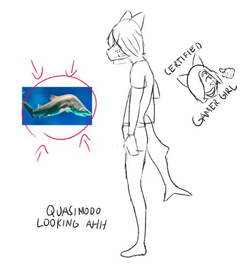 A black a and white digital drawing of an anthropomorphic shark girl with bad posture accompanied by an image of a shark with scoliosis, the text 'quasimodo looking ass' and a sticker that says 'gamer girl posture'