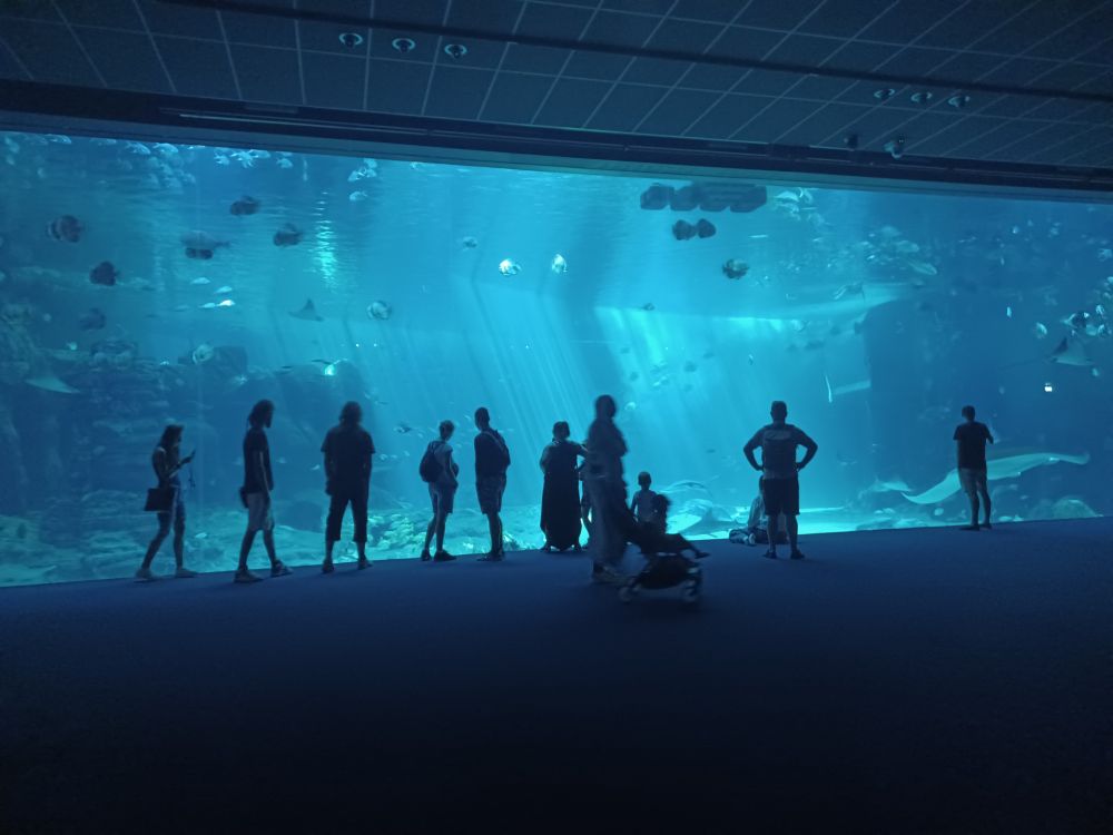 A large room that looks like a movie theater but with a giant window to an aquarium.