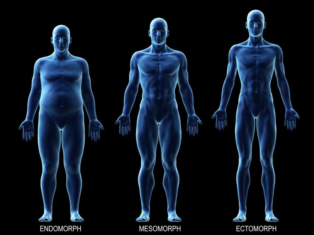 Study finds body composition impacts neurodegenerative disease risk