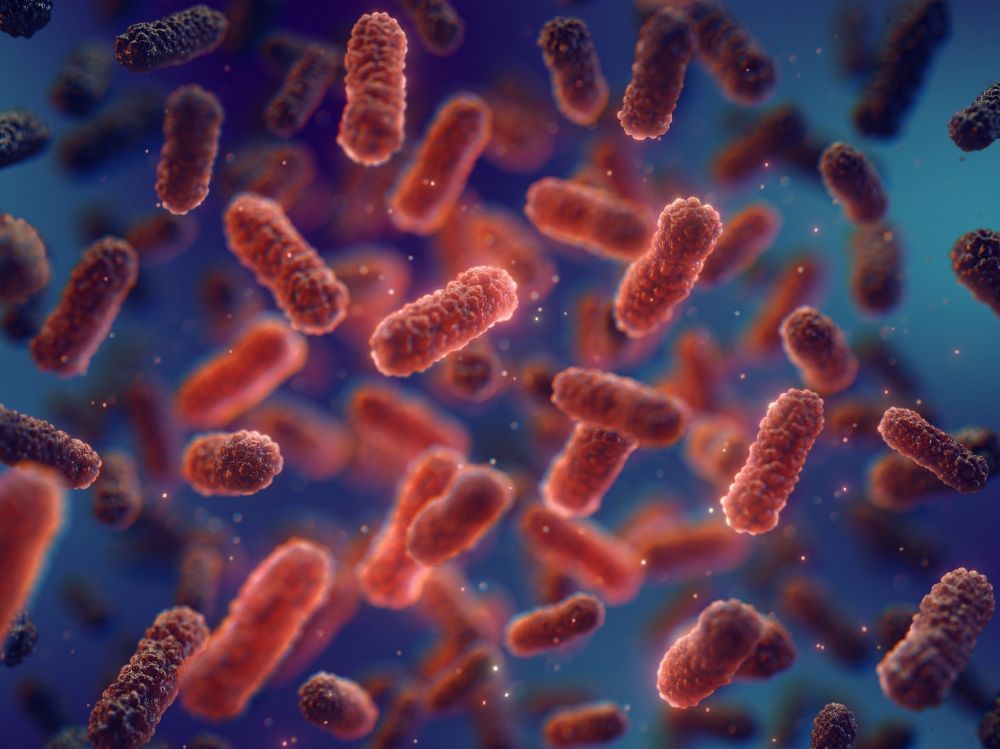 Human gut microbiome: A source of new antibiotic peptides