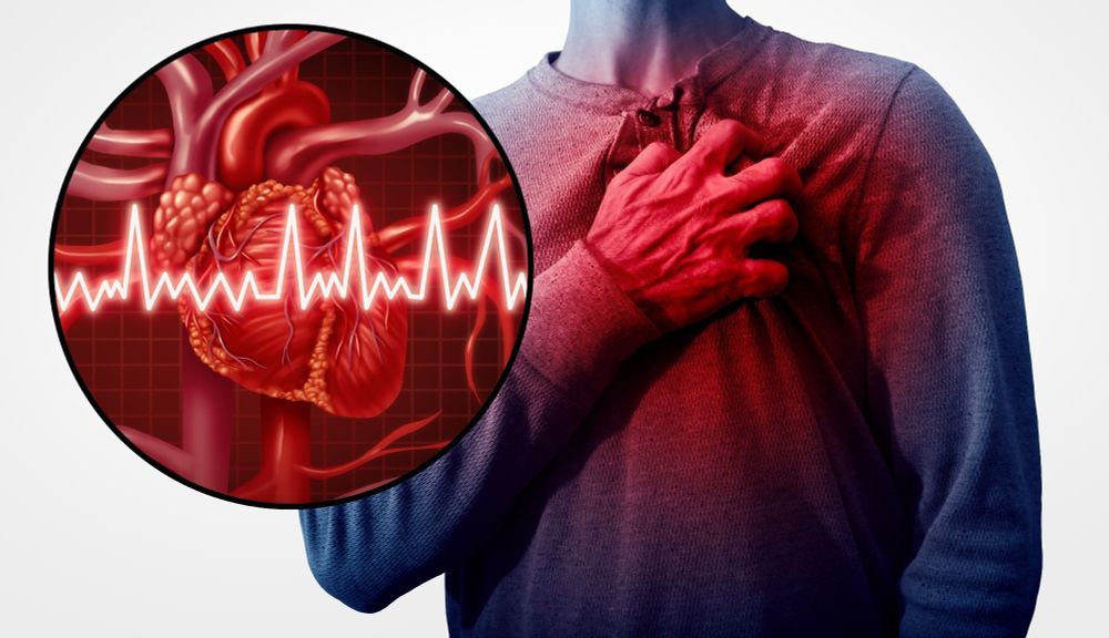 Study uncovers hidden proteins fueling heart disease and stroke