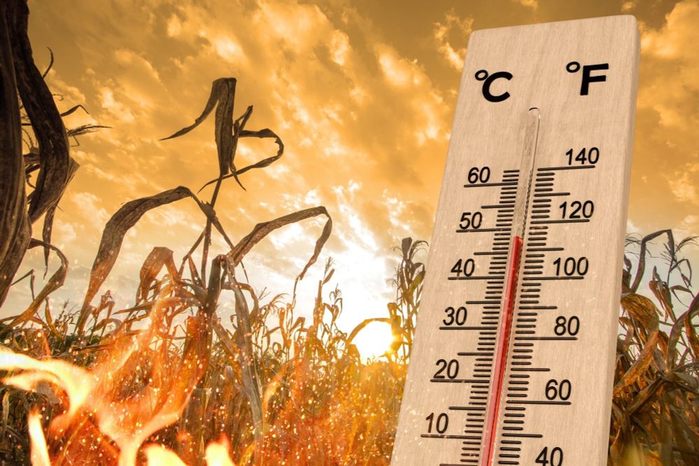 Extreme heat puts children's health at risk, urging action on adaptation measures