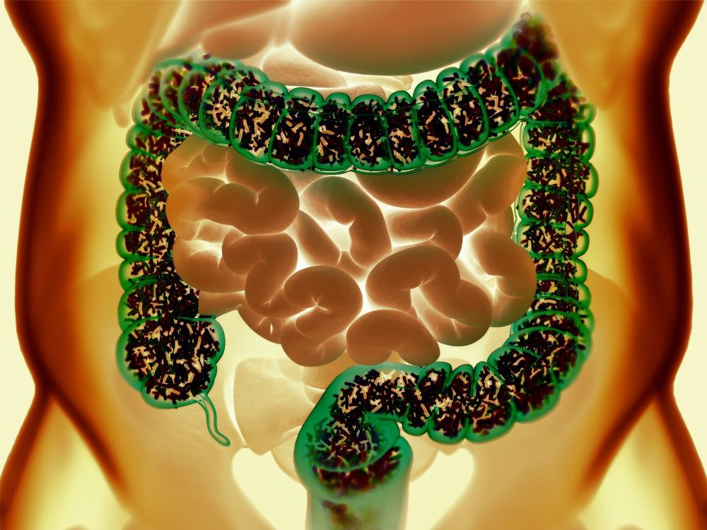 Cutting-edge tools and practices revolutionize gut microbiome research