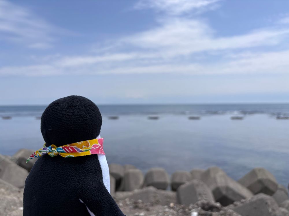 水平線にうっすらと見える青森県を眺めるSuicaペンギンちゃん。