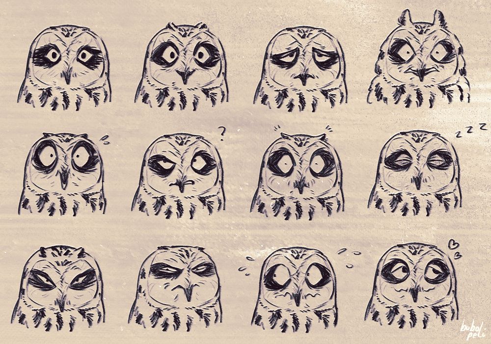 Twelve uncolored head shot drawings of short-eared owls with various expressions such as neutral, happy, sad, angry, shocked, confused, alert, tired, suspicious, betrayed, afraid, and flustered.