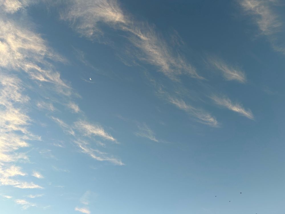 三日月🌙が綺麗