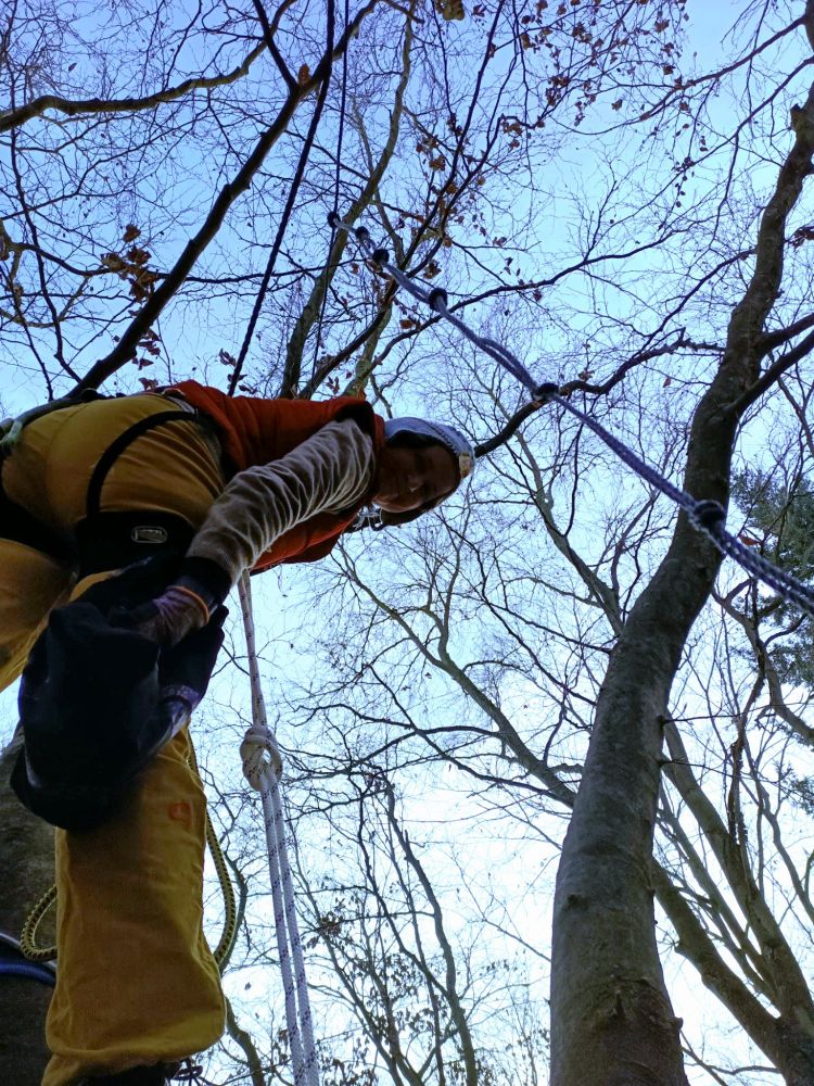 Blauer himmel, Bäumspitzen ohne Blätter, eine Person guckt von oben in die Kamera nach unten. Sie ist im Baum mit Gurt und Seil gesichert