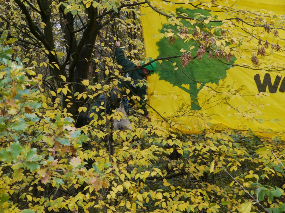 Mensch im Baum, und Stück vom Banner mit einem Baum drauf gemalt