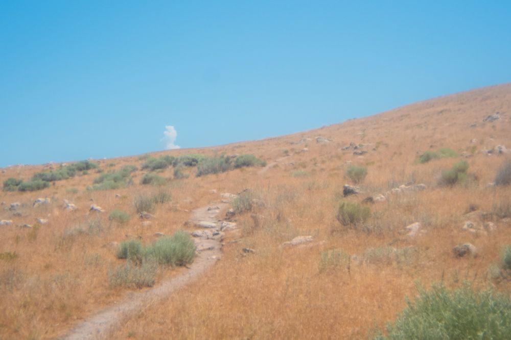 A small dirt path on Antelope Island. A single cloud breaks the horizon line. 