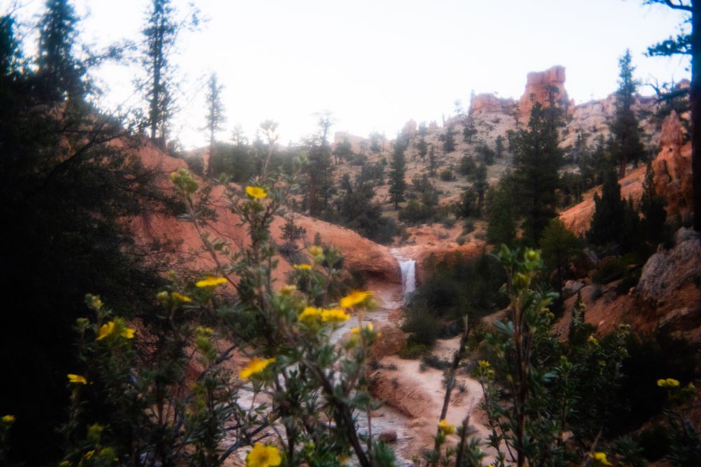 The waterfall along the hike to Mossy Cave in Bryce Canyon National Park. 
