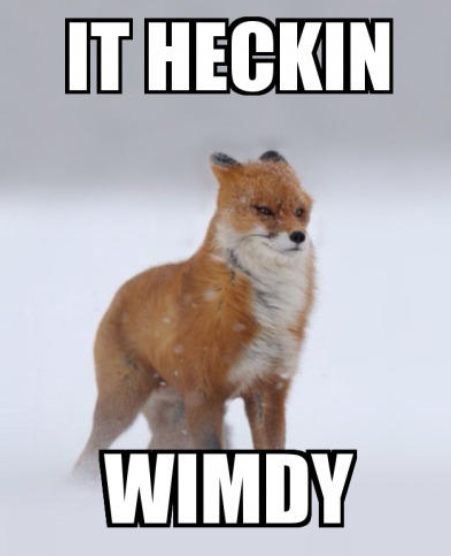 Comment image