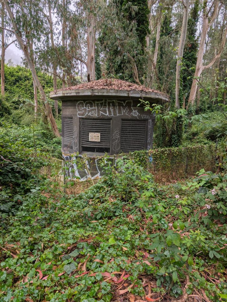 I'm pretty sure this is a muni ventilation shaft, but this dates back to the street car era.