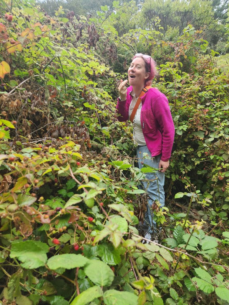 Enjoying found black berries in Glen Park