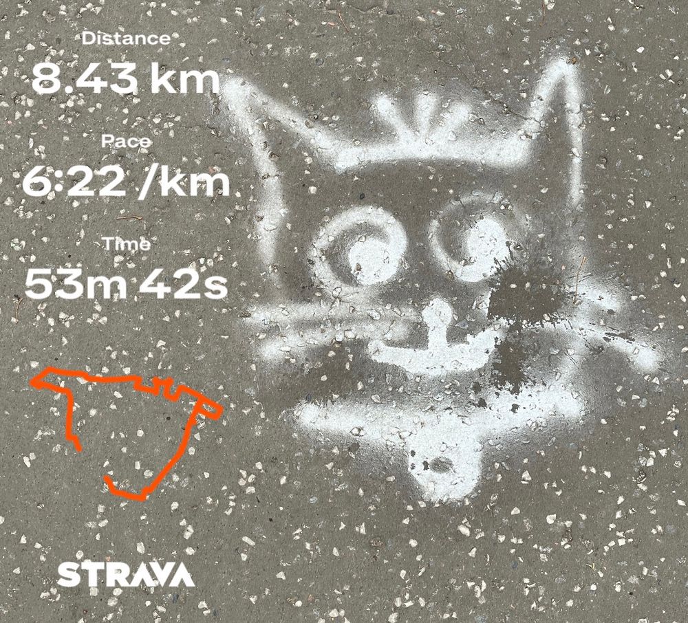 An adorable bit of graffiti on a pavement. Someone has used white spray paint to draw a cute lil’ cat on the pavement. Strava stats on the left of the picture show a 8.43km run in 52mins