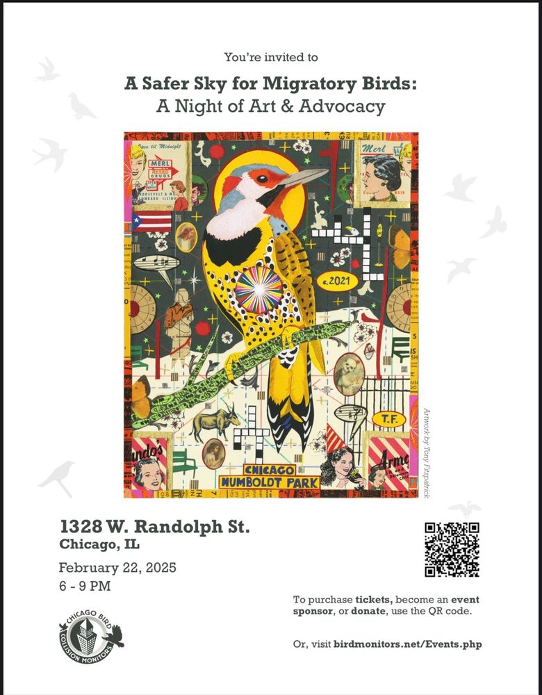 you're invited to a Safer Sky for Migratory Birds: A night of Art An Advocacy. Image is a colorful mosaic of shapes and party symbols that centers a Northern Flicker sitting on a branch. Address: 1328 W. Randolph St. February 22, 2025, 6-9pm visit birdmonitors.net/Events.php  to buy tickets.