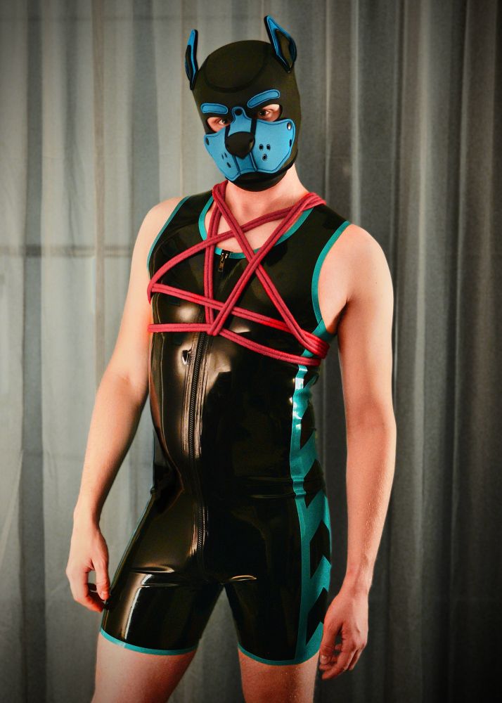 This image shows a person wearing a black and teal latex outfit with a front zipper, accented with red rope tied in an intricate harness pattern around their chest. They are also wearing a black and blue “puppy hood” that covers their head, featuring pointed ears and a stylized snout. The background appears to be a neutral curtain.