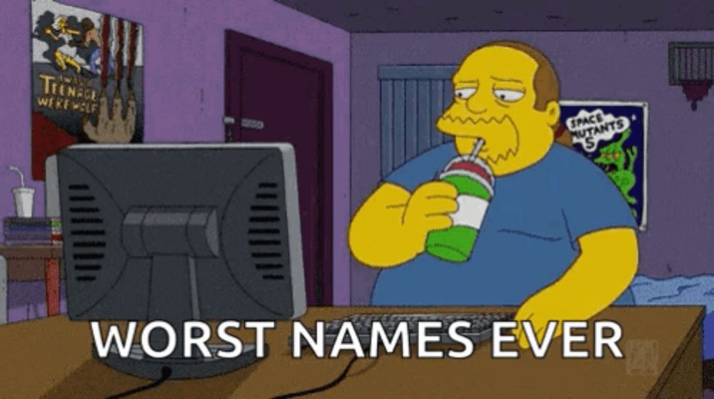 a cartoon character sitting in front of a computer with the words worst names ever