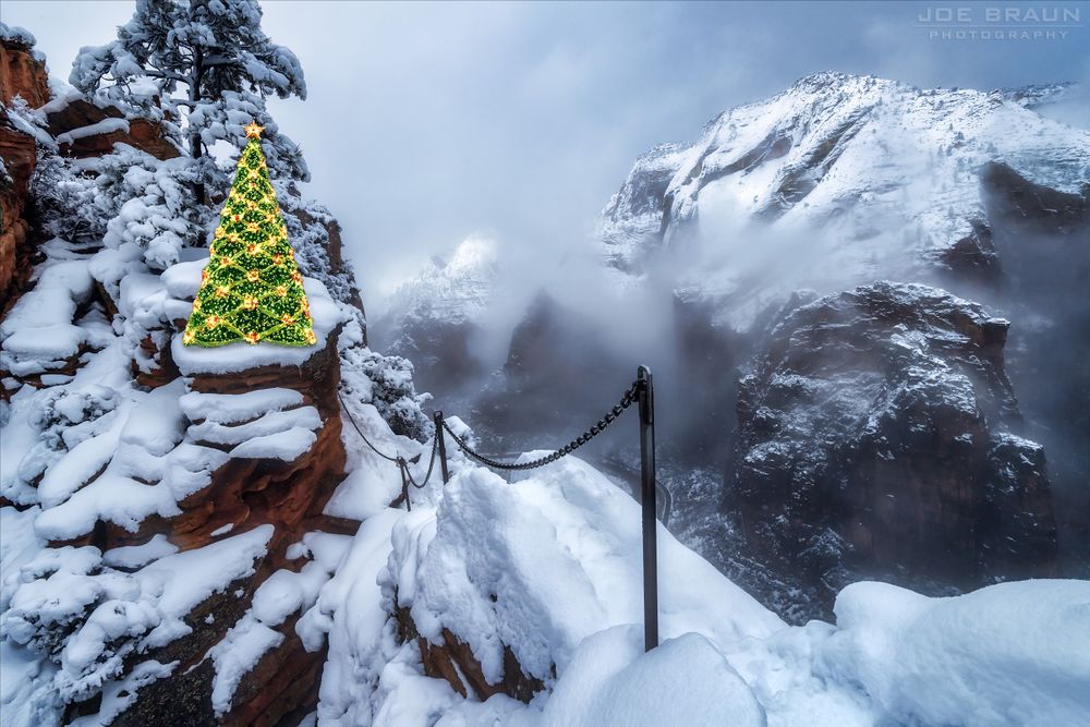 Christmas tree at the Angels Landing Step of Faith