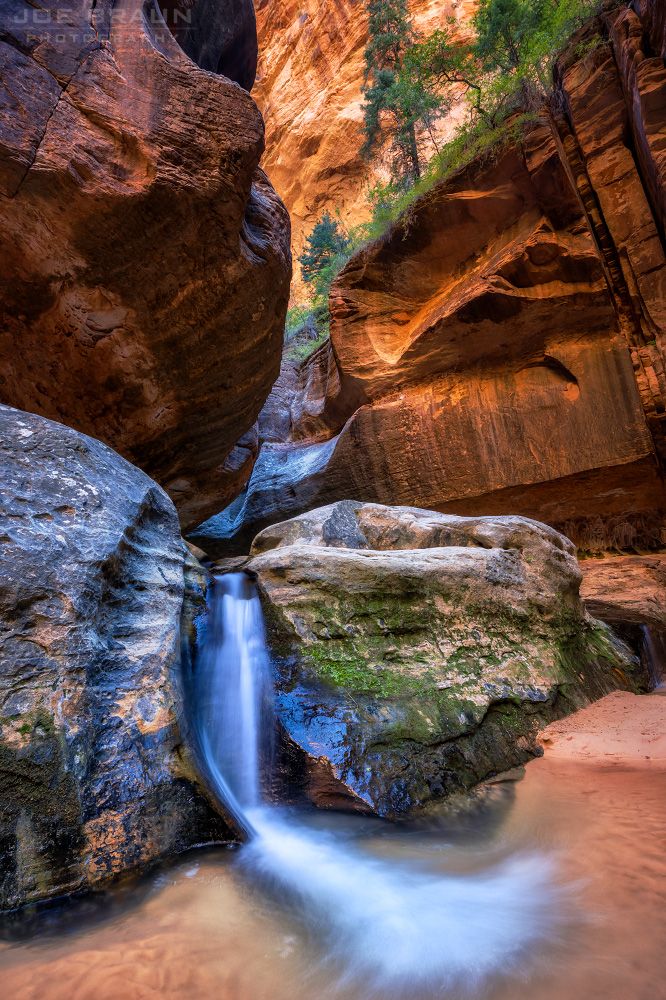 small waterfall in the Left Fork of North Creek, Zion National Park