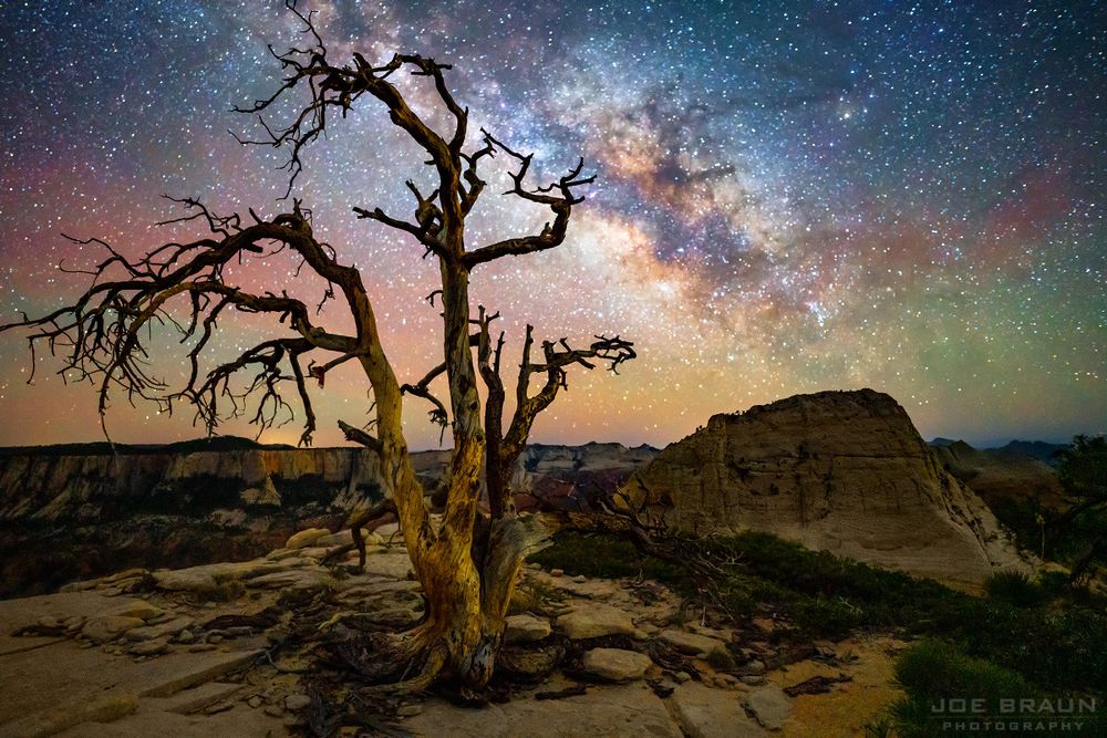 Milky Way glows above the Kolob Terrace, Zion National Park