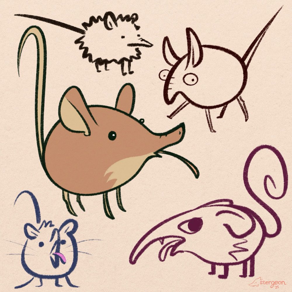 five doodles of elephant shrews. they are tiny little guys that look like lemons with stick legs and long tails and goofy ears. they do terrible things with their long long tongues that make them look like yoshi with fur. some are spiky some are soft but all of them are round and ridiculous. one of these shrews has an attitude problem but all of them are stupid