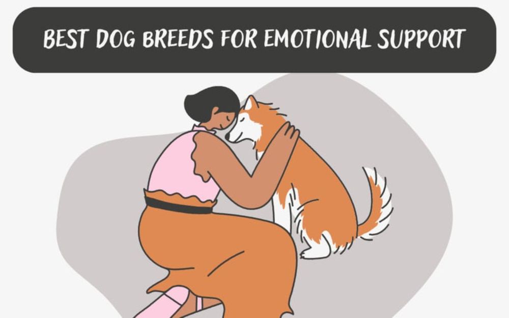 The Perfect Companion: Choosing the Best Dog Breeds for Emotional Support