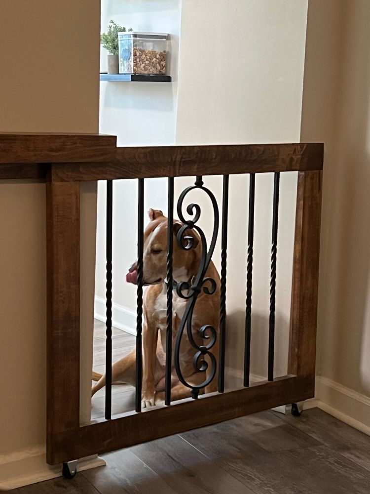 dog behind a gate