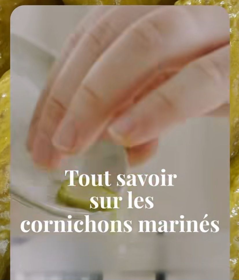 Tout savoir sur les cornichons marinés
