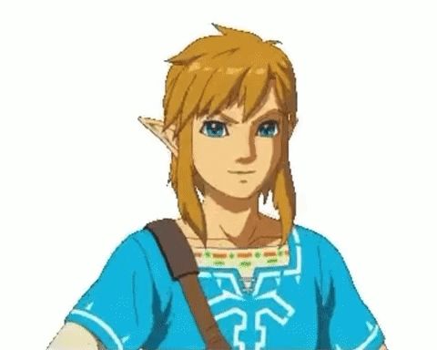 link from the video game breath of the wild is giving a high five .