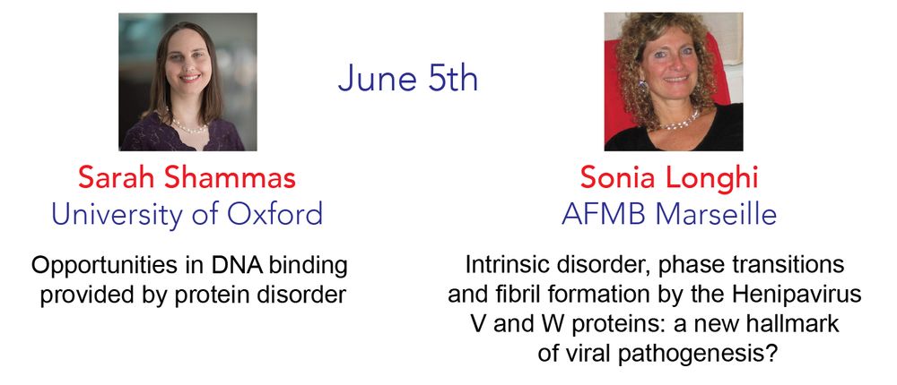 Sarah Shammas (University of Oxford):Opportunities in DNA binding provided by protein disorder

Sonia Longhi (AFMB Marseille): Intrinsic disorder, phase transitions and fibril formation by the Henipavirus V and W proteins: a new hallmark of viral pathogenesis?