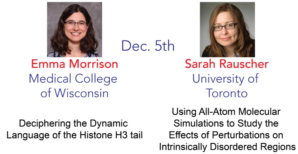 IDPSeminars will happen on Dec 5th 2024 with Emma Morrison (Medical College of Wisconsin) and Sara Rauscher (University of Toronto).

Talk titles:

Emma Morrison: Deciphering the Dynamic Language of the Histone H3 tail

Sarah Rauscher: Using All-Atom Molecular Simulations to Study the Effects of Perturbations on Intrinsically Disordered Regions