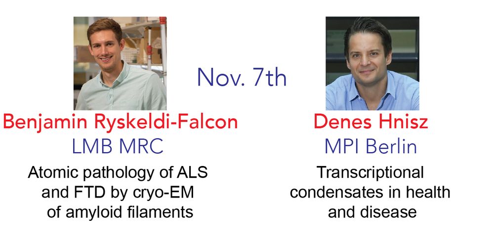 Talk titles for the two seminars happening this week on Thursday, November 7th. 

Benjamin Ryskeldi-Falcon  - Atomic pathology of ALS and FTD by cyro-EM of amyloid filaments.

Denes Hnisz - Transcriptional condensates in health and disease.