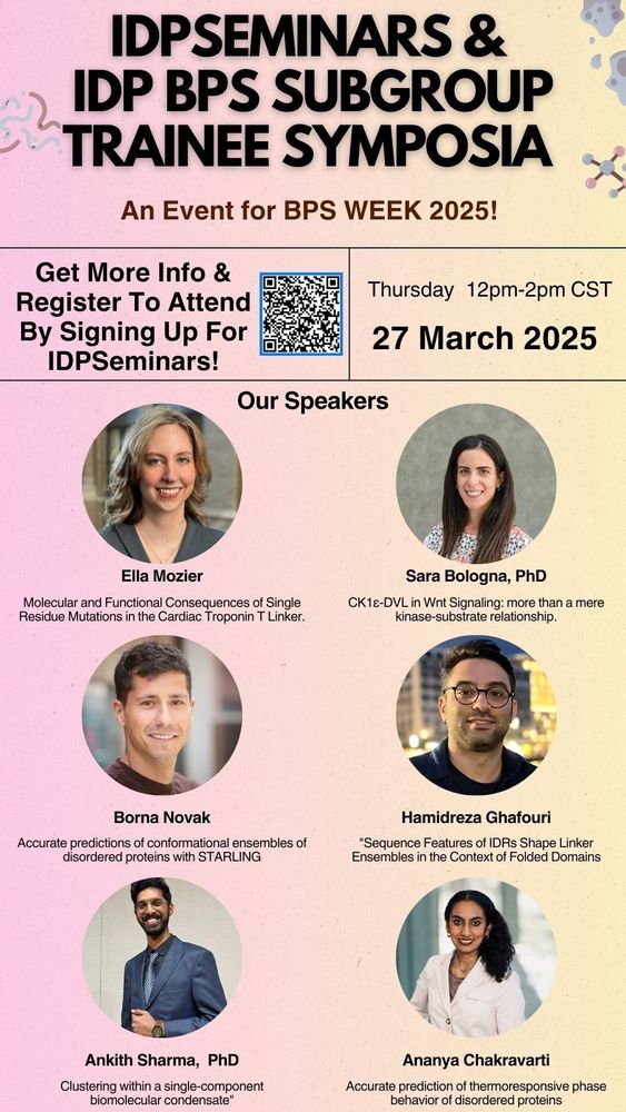 IDPSeminars/BPS IDP Subgroup symposium. March 27th 2025 at noon central time. Speakers are Ella Mozier, Sara Bologna, Borna Novak, Hamidreza Ghafouri, Ankith Sharma and Ananya Chakravarti!
