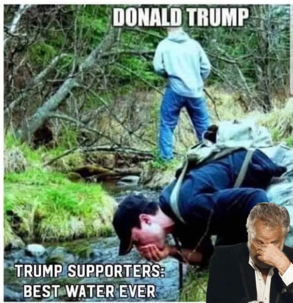 bafkreib55oulnzpozjjds552yozcigwj2x53gvhn3icav4zph5pc26nklm@jpeg