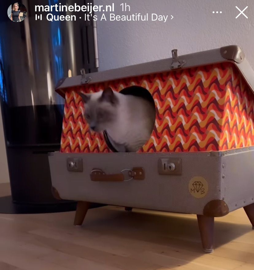 Cat bed made from an old suitcase with cat exiting from it. 