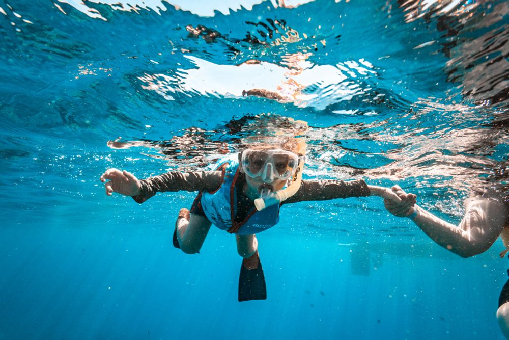 A 5-year old boy in a snorkel mask, flotation vest, and flippers swims slightly underwater, holding his mother's hand.