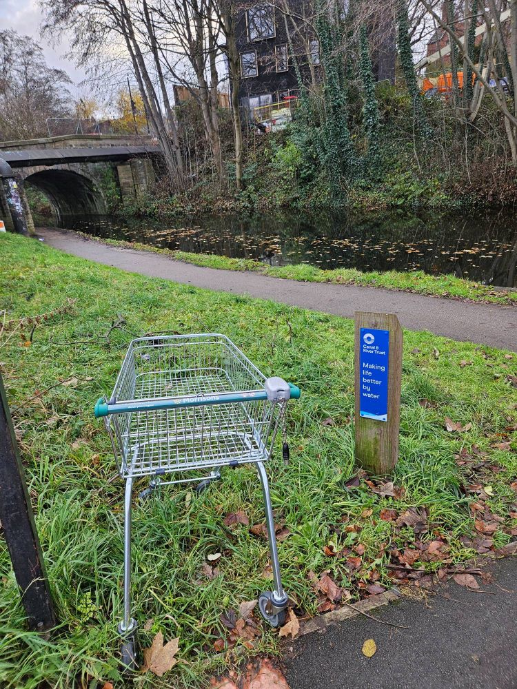 A shopping trolley stands on a grass verge next to a canal.