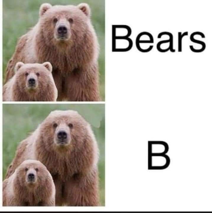 He atakata. Ko te whakaahua o runga ko ngā pia me te kupu Bears. Ko te whakaahua o raro ko ngā pia kore taringa me te pū B.