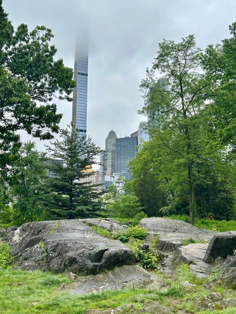 Boulders and rocks in a field with trees and tall building in the background 