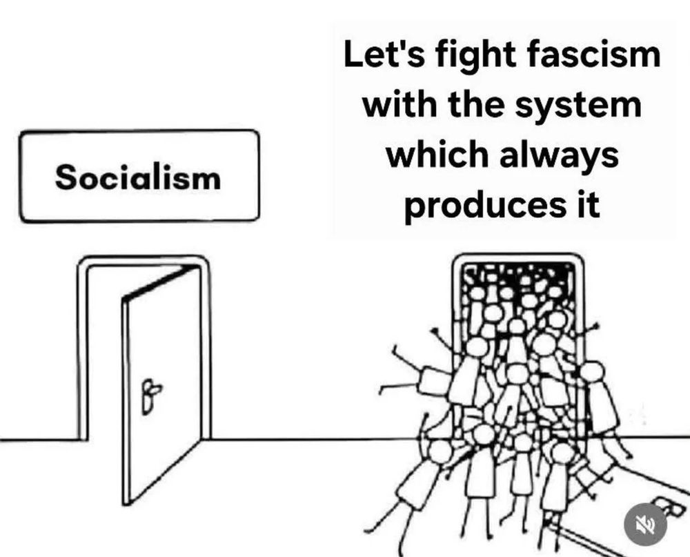People keep choosing the systems that always end up taking us into fascism because they're afraid of the word "socialism."