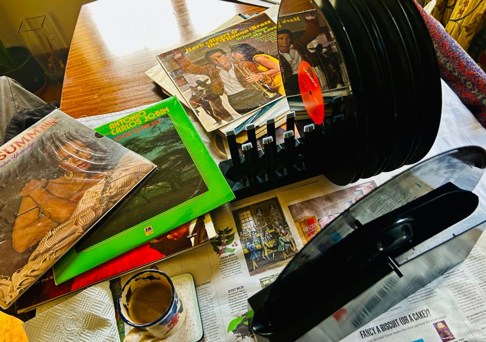 Vinyl record cleaning day.