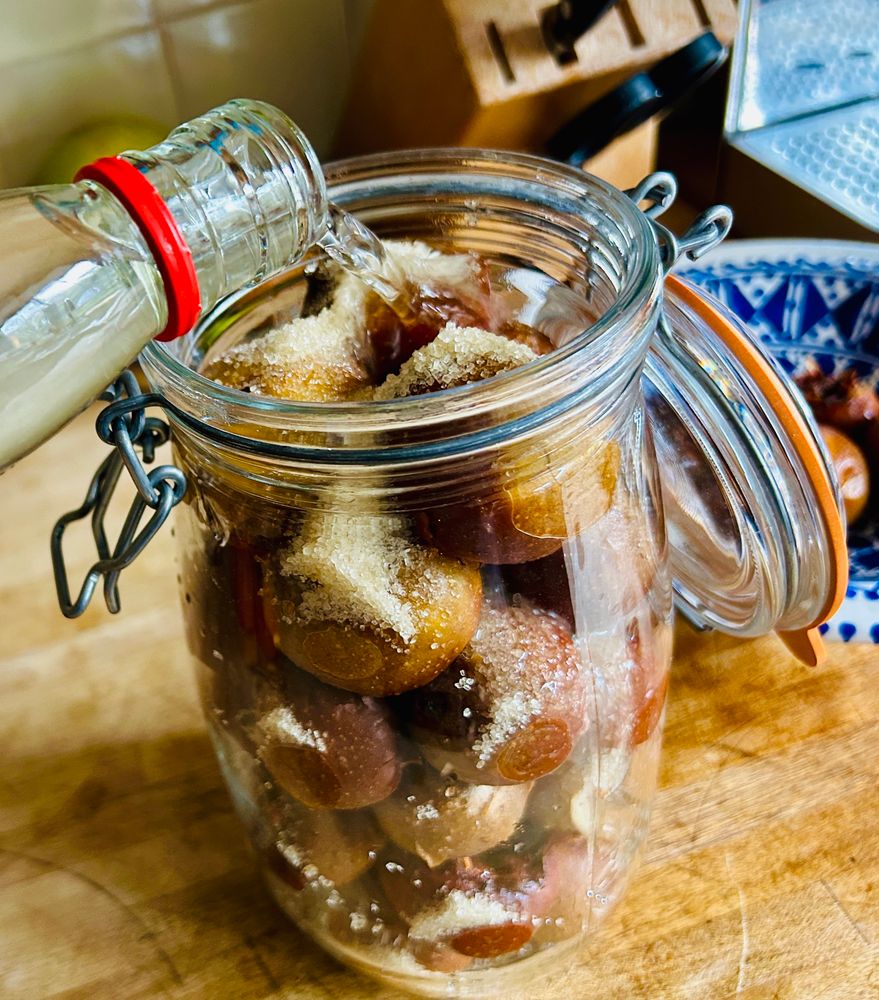 Medlars in a Kilner Jar with Sugar being filled with Vodka.