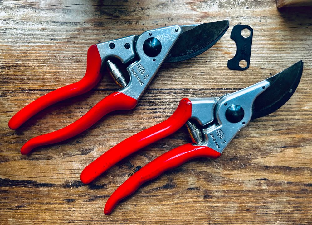 Felco No.8 and No.2 Secateurs, ready for action.
