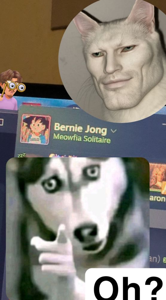 (My game running on Steam)