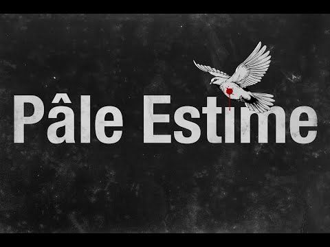 Zoufris Maracas - Pâle Estime
