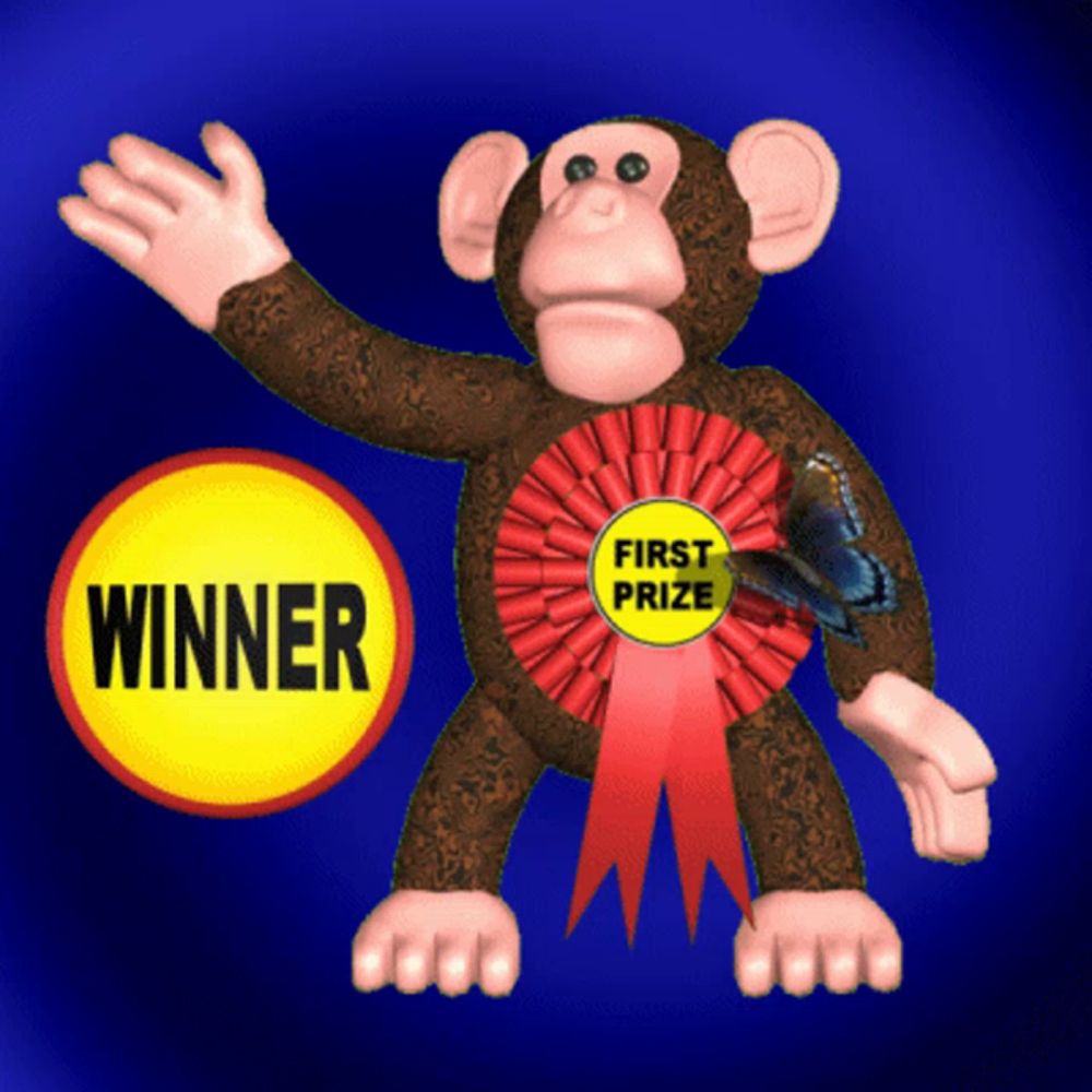 a stuffed monkey with a first prize ribbon on it